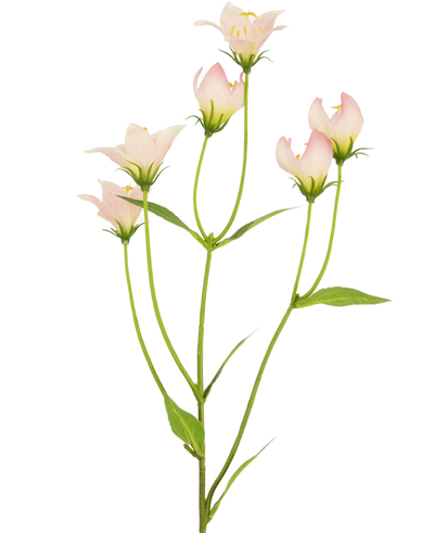 De Kunstbloem Aster 60 cm roze heeft een steel met meerdere lichtroze, klokvormige bloemen en groene bladeren. De delicate kunstbloemblaadjes hebben subtiele kleurverlopen en zachte randen tegen een witte achtergrond.