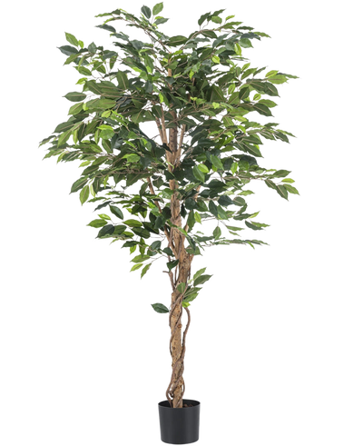 De Kunstplant Ficus 180 cm brandvertragend heeft gedraaide bruine stammen en weelderige groene bladeren, in een kleine zwarte plantenbak tegen een witte achtergrond - een elegante, onderhoudsvrije plant voor elk interieur.