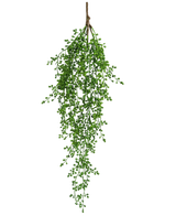 De Kunst hangplant Senecio 76 cm heeft een enkele tak van kunstgroen met kleine, trosvormige groene bladeren die elegant naar beneden hangen tegen een effen witte achtergrond.