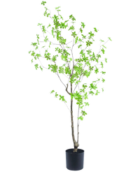 Artificial Plant Enkianthus 150 cm