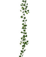 The Artificial hanging plant Ivy garland deluxe 180 cm green is a long, green ivy garland with pointed leaves that hangs vertically against a plain white background.