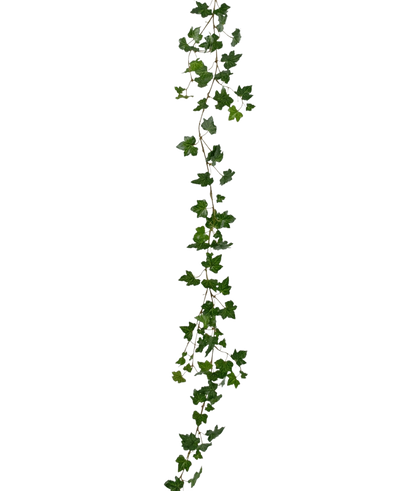 The Artificial hanging plant Ivy garland deluxe 180 cm green is a long, green ivy garland with pointed leaves that hangs vertically against a plain white background.