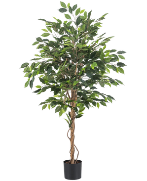 The Artificial Plant Ficus 150 cm fire retardant has green leaves and several slender, twisted brown trunks in a black pot. The fire-retardant material provides extra safety in any room.