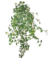 De Kunst Klimop Deluxe Groen 90cm is een lange klimop plant met groene bladeren en dunne stengels, afgebeeld tegen een witte achtergrond.