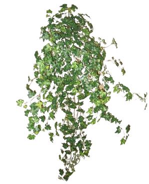 De Kunst Klimop Deluxe Groen 90cm is een lange klimop plant met groene bladeren en dunne stengels, afgebeeld tegen een witte achtergrond.