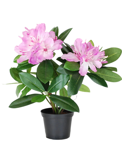 De Kunstplant Rhododendron 34 cm heeft levendige groene bladeren en trossen lichtroze bloemen in een kleine zwarte pot, tegen een effen witte achtergrond.