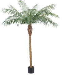 Artificial plant Phoenix Palm de Luxe 180 cm