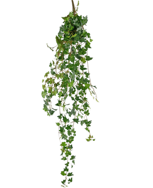 De Kunst hangplant Klimop deluxe 120 cm groen heeft lange, groene ranken met hartvormige bladeren, perfect om een vleugje natuurlijke schoonheid toe te voegen tegen een effen witte achtergrond.