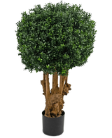 De Kunst Buxusbal Hout Romeinse stijl UV 90 cm is een kunst vormboom met een dichte ronde bol van groene bladeren op bruine stammen in een zwarte cilindervormige plantenbak.