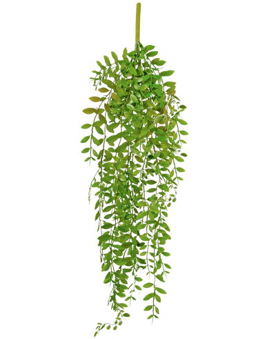De Kunst hangplant Pumila 89 cm heeft kleine, ovale groene bladeren aan meerdere hangende stelen, tegen een effen witte achtergrond.