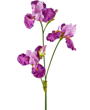 The Artificial Flower Iris 102 cm purple has a long green stem decorated with several vibrant purple and white iris flowers, each with ruffles on the petals and yellow accents, against a plain white background.