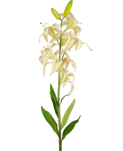 Een enkele hoge Kunstbloem Martagon Lelie 78 cm roze met roze leliebloemen en groene bladeren tegen een effen witte achtergrond; sommige bloemen zijn open terwijl twee knoppen aan de bovenkant gesloten blijven.