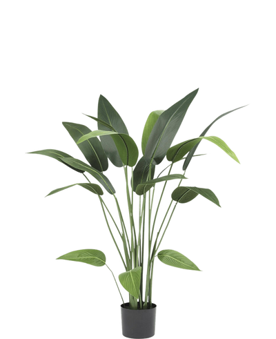 De Kunstplant Heliconia 110 cm, met lange stelen en brede groene bladeren, is ideaal voor kleine ruimtes inrichting of als kunstplant badkamer accent, mooi tegen een effen witte achtergrond.