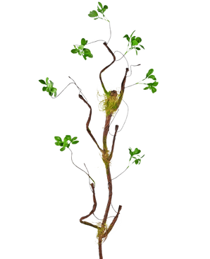 The Artificial Branch Enkianthus 100 cm green, a slender artificial vine with small green leaves and moss accents, stands against a plain white background.