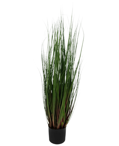 De Kunst Grasplant Onion 90 cm brandvertragend is een siergras in pot met lange, dunne groene bladeren die roodpaars getint zijn aan de basis, tegen een effen witte achtergrond.