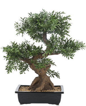 Het Kunst bonsai boompje 70 cm in pot heeft dicht groen gebladerte en een dikke, gedraaide stam, in een rechthoekige zwarte pot gevuld met kiezels tegen een witte achtergrond.
