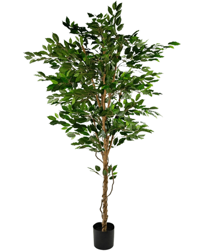 De Kunstplant Ficus Groen 210 cm is een hoge kunstboom met groene bladeren en meerdere slanke bruine stammen, in een compacte zwarte pot op een effen witte achtergrond.