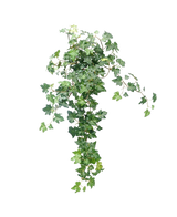 The Artificial Ivy Deluxe Green 60cm is a lush, artificial ivy plant with cascading green leaves against a plain white background.