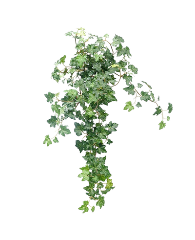 The Artificial Ivy Deluxe Green 60cm is a lush, artificial ivy plant with cascading green leaves against a plain white background.