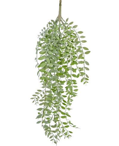 De Kunst hangplant Pumila/Eucalyptus 76 cm heeft groene, smalle bladeren en slanke stengels die naar beneden vallen tegen een effen witte achtergrond.