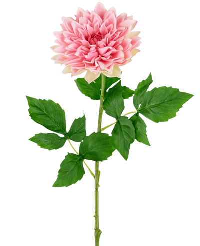 De Kunst Georgine Real Touch Roze 70cm heeft een enkele roze dahlia met gelaagde bloemblaadjes, een lange groene steel en verschillende bladeren, tegen een effen witte achtergrond.
