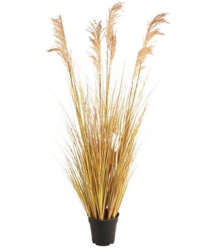 De Kunst Grasplant Sorghum 130 cm brandvertragend, met zijn slanke geelgroene bladeren en vederlichte bruine pluimen, benadrukt de nieuwste woontrend tegen een effen witte achtergrond.