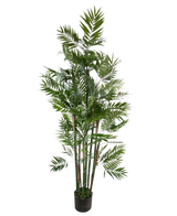 The Artificial Plant Parlor 180 cm is a tall artificial palm with multiple slender stems and vibrant green leaves in a small black pot, against a white background.