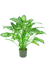 De Kunstplant Dieffenbachia 75 cm heeft rechtopstaande groene stelen en grote, ovale bladeren met lichtgroene en witte schakeringen, tegen een effen witte achtergrond.