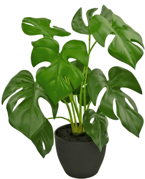 The Artificial Monstera 40 cm in black decorative pot is an artificial Monstera with large, glossy green leaves with natural holes and cracks, in a simple black decorative pot filled with dark soil.