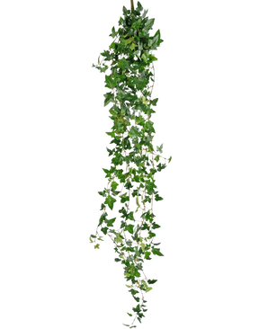De Kunst hangplant Klimop Boston 180 cm groen heeft een lange kunstklimop met dichte groene bladeren aan dunne stengels, verticaal hangend tegen een witte achtergrond.