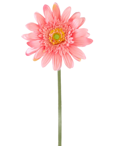 Een Kunstbloem Gerbera 55 cm roze heeft een enkele roze gerbera met een geelgroen hart op een lange groene steel, tegen een effen witte achtergrond.