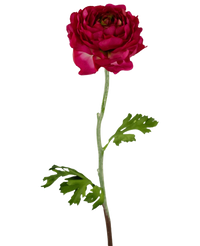 Artificial Flower Ranunculus 51 cm Dark Pink