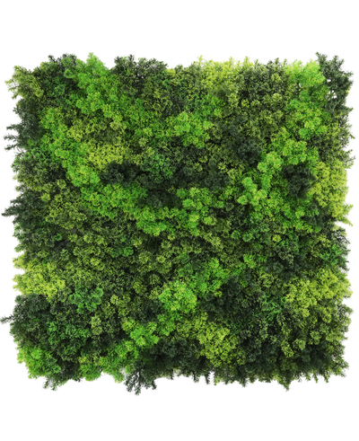 De Kunsthaag Fairyland Moss 100x100 cm UV is een vierkant paneel met dicht, levendig groen mos in verschillende tinten, dat een getextureerde, natuurlijke look biedt die perfect is tegen een witte achtergrond.