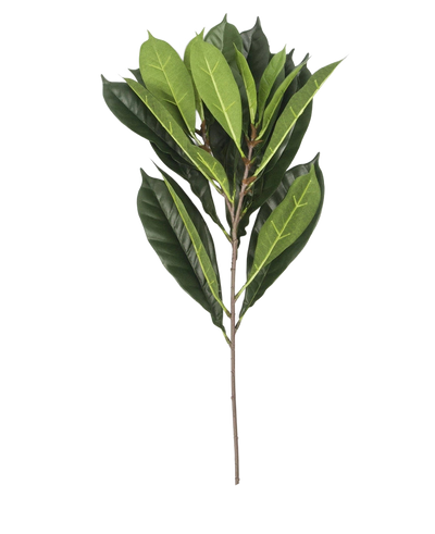 Het Kunstblad Cyathistipula 63 cm brandvertragend heeft een enkele tak met meerdere langwerpige groene bladeren in verschillende tinten op een slanke bruine stengel, tegen een witte achtergrond.