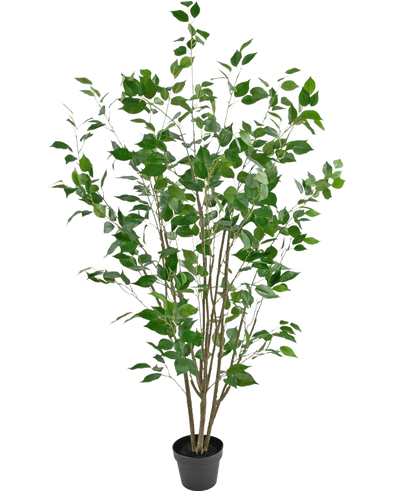 De Kunstplant Ficus 150 cm is een kunstboom in pot met meerdere slanke bruine stammen en weelderige groene bladeren tegen een effen witte achtergrond.
