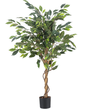 De Kunstplant Ficus Groen 120 cm heeft groene bladeren en een gedraaide stam, in een kleine zwarte pot tegen een effen witte achtergrond.
