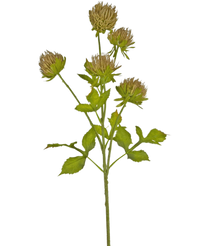 Artificial flower thistle 66 cm brown