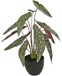 Artificial Begonia 48 cm in decorative pot Black