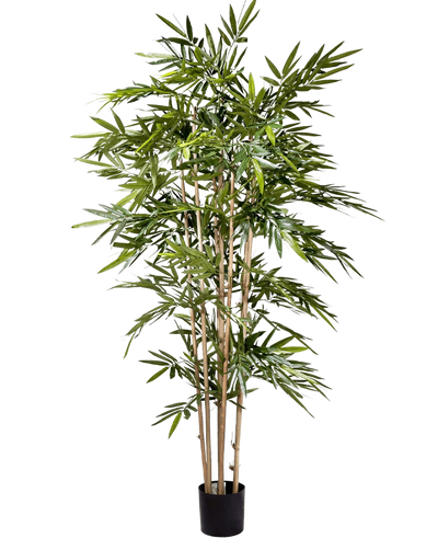 De Kunstplant Bamboe 180 cm heeft slanke lichtbruine stengels en overvloedige lange groene bladeren in een kleine zwarte pot, tegen een effen witte achtergrond.
