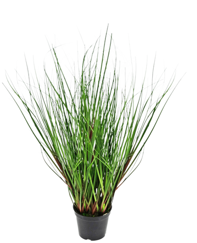 De Kunst Grasplant Ui 50 cm brandvertragend heeft lange, dunne, groene grasachtige bladeren die rechtop groeien en vanuit het midden naar buiten buigen, gepresenteerd in een zwarte plastic pot tegen een witte achtergrond.