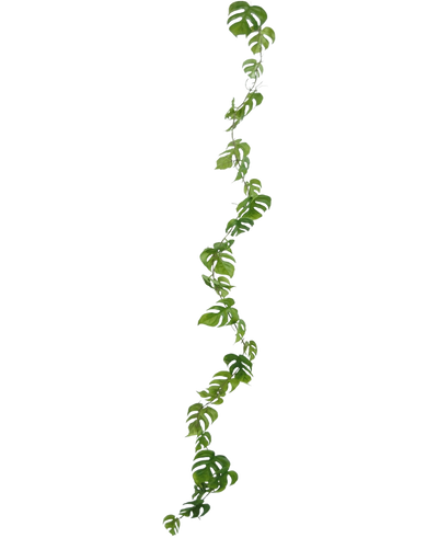 De Kunst slingerplant Monstera 182 cm is een lange kunstliaan met groene, natuurlijk gevormde bladeren, die verticaal hangt tegen een effen lichte achtergrond.