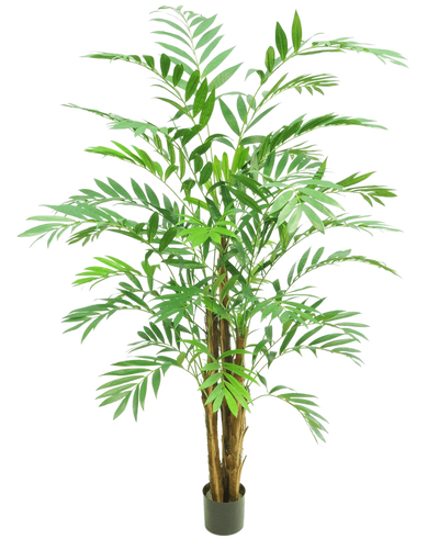De Kunstplant Hawaii Parlour 180 cm is een hoge kamerpalm in pot met meerdere slanke bruine stammen en lange, gebogen groene bladeren, tegen een effen witte achtergrond.