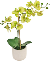 De Kunst Orchidee Real Touch 60 cm groen heeft lichtgroene en gele bloemen met weelderige groene bladeren, gerangschikt in een eenvoudige witte pot tegen een effen achtergrond.