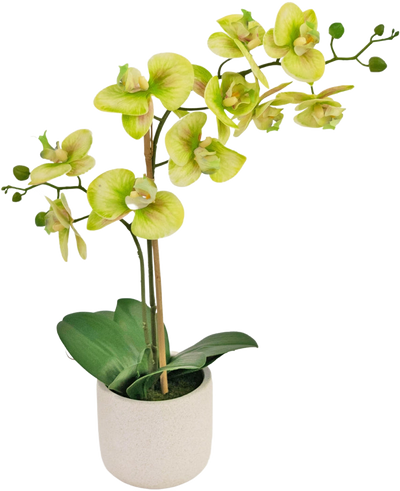 De Kunst Orchidee Real Touch 60 cm groen heeft lichtgroene en gele bloemen met weelderige groene bladeren, gerangschikt in een eenvoudige witte pot tegen een effen achtergrond.