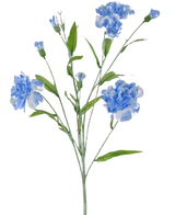 De Kunstbloem Anjer tros 70 cm blauw heeft een delicate steel met meerdere lichtblauwe anjerbloemen en groene bladeren, tegen een effen witte achtergrond.