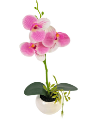 Artificial Orchid 28 cm White/Pink in Pot