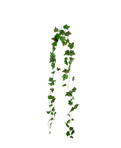 De Kunst Klimop Slinger 180 cm groen heeft puntige groene klimopbladeren die in twee strengen tegen een effen witte achtergrond hangen.