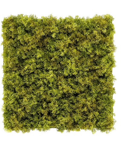 De Kunsthaag Nordic Mos 50x50 cm UV is een vierkant paneel dat dicht bedekt is met weelderig groen mos op een witte achtergrond, waardoor een getextureerde, natuurlijke look ontstaat die perfect is voor chique interieurs.
