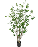De Kunstplant Ficus 180 cm is een hoge kunstboom in pot met meerdere slanke bruine stammen en dichte groene bladeren tegen een effen witte achtergrond.
