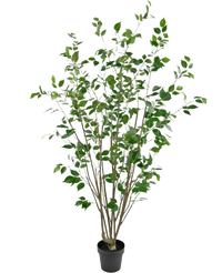 Artificial plant Ficus 180 cm